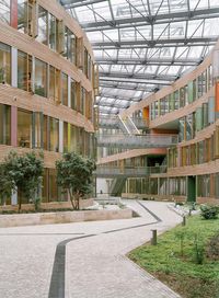 Hochformatige Ansicht eines Weges im Atrium des Umweltbundesamt Dessau